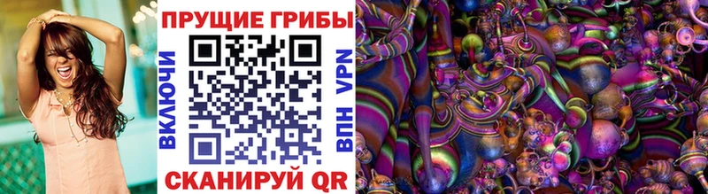 Галлюциногенные грибы Psilocybine cubensis Бирюсинск
